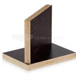 Placa Tego