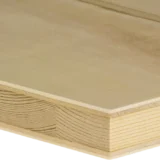 panel tei