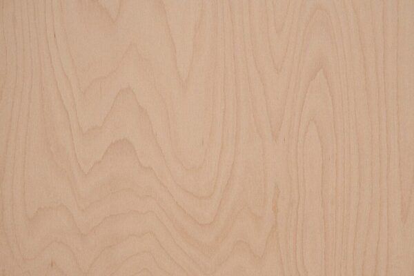 Placaj Fag Multistratificat 2500x1500mm B/BB - imagine 3